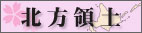 Mofa-Irc