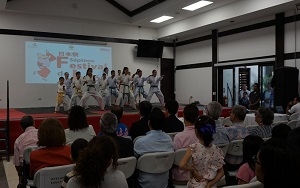 Demostración de arte marcial